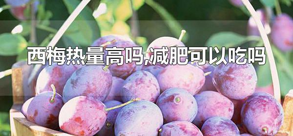 西梅热量高吗，减肥可以吃吗 西梅怎么吃