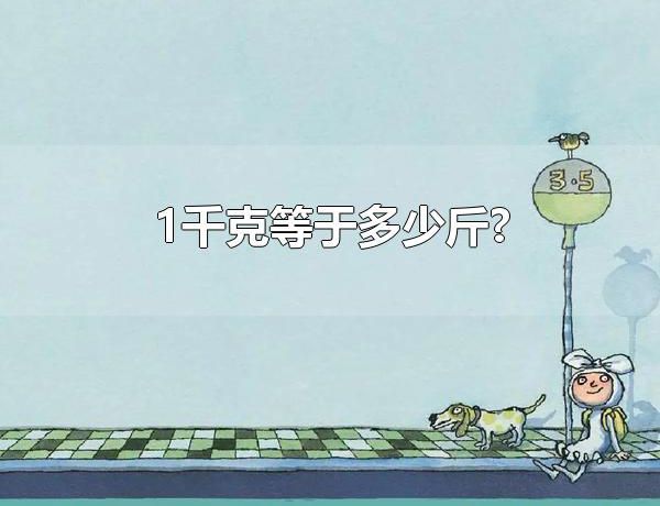 1千克等于多少斤? 千克和斤与其他质量单位的换算