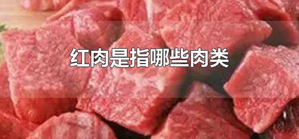 红肉是指哪些肉类 红肉与白肉的区别是什么