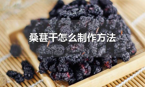 桑葚干怎么制作方法 桑葚干食用的方法