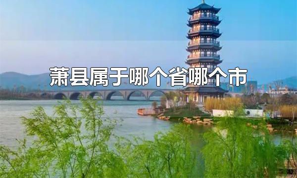 萧县属于哪个省哪个市 萧县的面积有多大