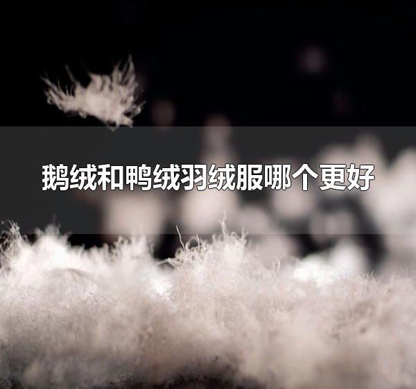 鹅绒和鸭绒羽绒服哪个更好 鹅绒和鸭绒羽绒服哪个更贵