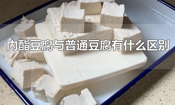 内酯豆腐与普通豆腐有什么区别 内酯豆腐与普通豆腐的口感一样吗
