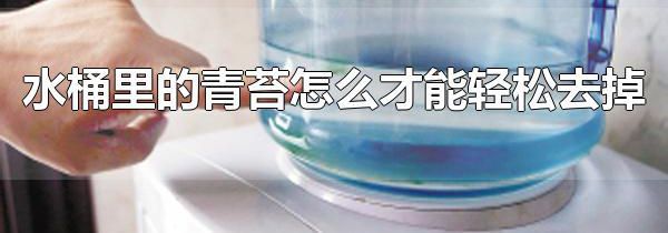 水桶里的青苔怎么才能轻松去掉 大米水轻松清理水桶青苔