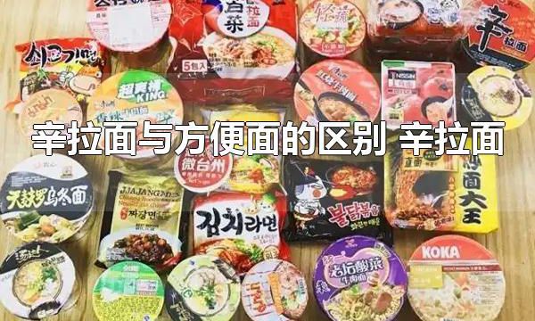 辛拉面与方便面的区别 辛拉面为什么比方便面贵