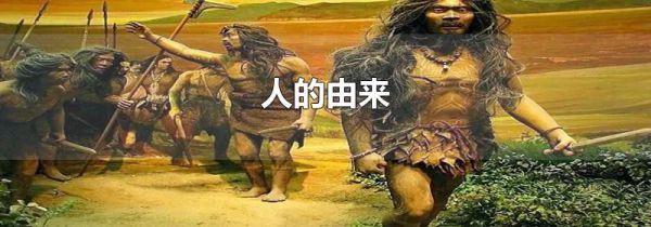 人的由来