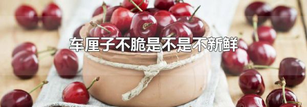 车厘子不脆是不是不新鲜