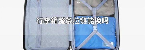 行李箱整条拉链能换吗
