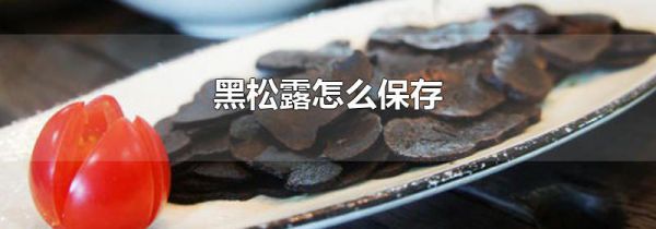 黑松露怎么保存