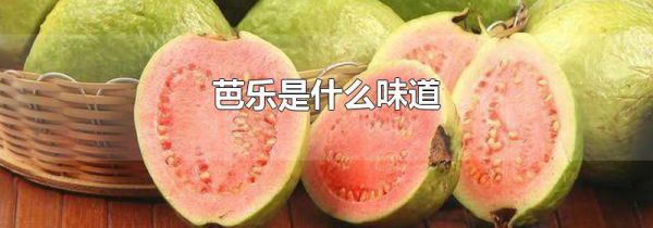 芭乐是什么味道