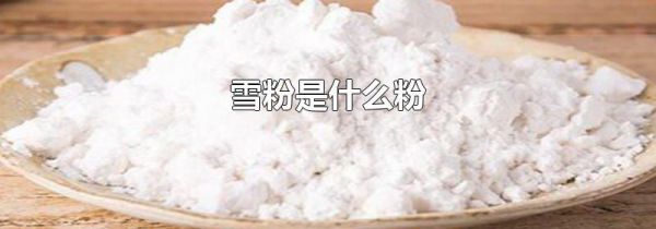 雪粉是什么粉
