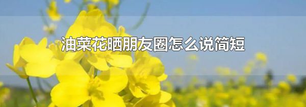 油菜花晒朋友圈怎么说简短