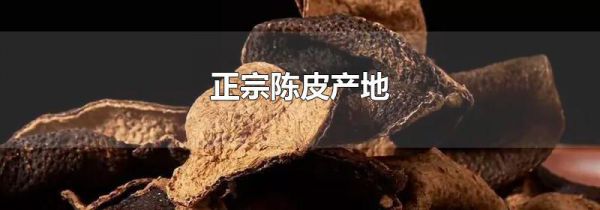 正宗陈皮产地
