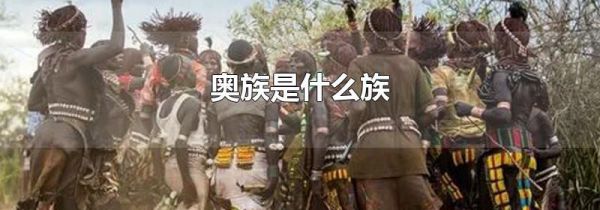 奥族是什么族