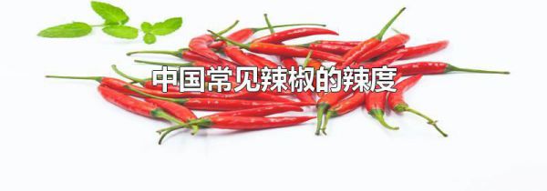 中国常见辣椒的辣度