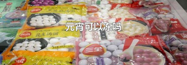 元宵可以冻吗
