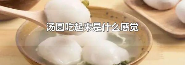 汤圆吃起来是什么感觉
