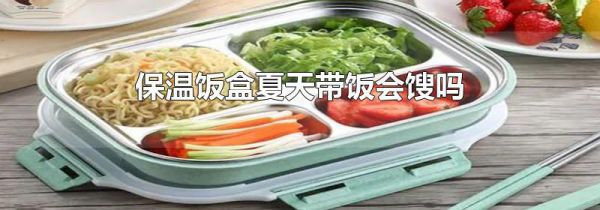 保温饭盒夏天带饭会馊吗