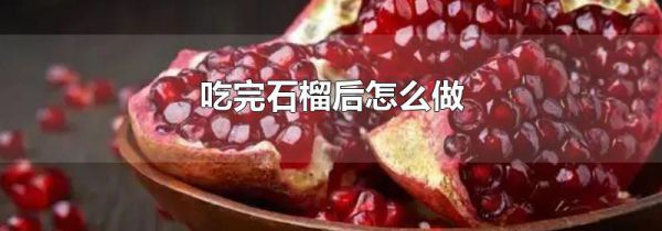 吃完石榴后怎么做