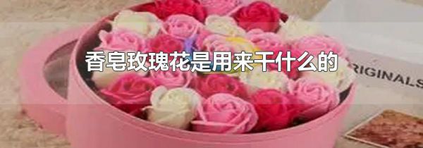 香皂玫瑰花是用来干什么的