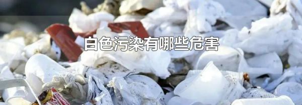 白色污染有哪些危害