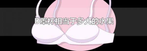 D罩杯相当于多大的水果