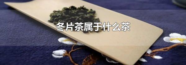冬片茶属于什么茶