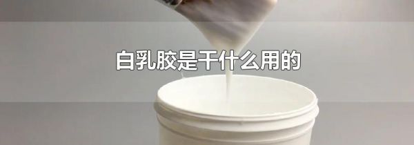 白乳胶是干什么用的