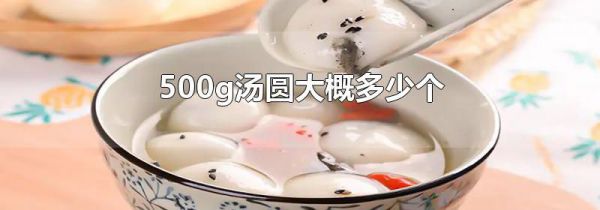 500g汤圆大概多少个