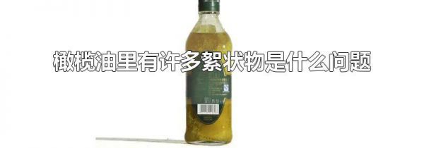 橄榄油里有许多絮状物是什么问题