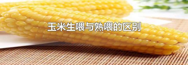 玉米生喂与熟喂的区别