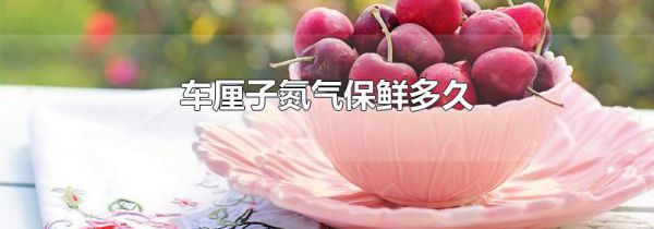 车厘子氮气保鲜多久