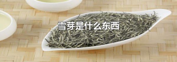 雪芽是什么东西
