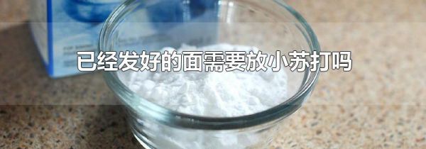 已经发好的面需要放小苏打吗