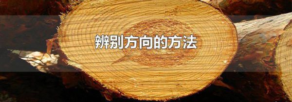 辨别方向的方法