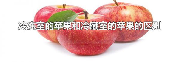 冷冻室的苹果和冷藏室的苹果的区别