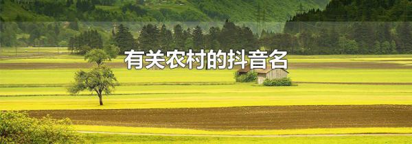 有关农村的抖音名