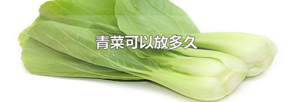 青菜可以放多久