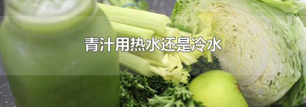 青汁用热水还是冷水