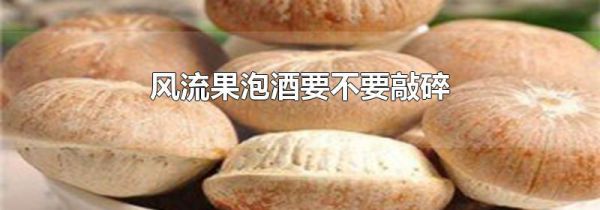 风流果泡酒要不要敲碎