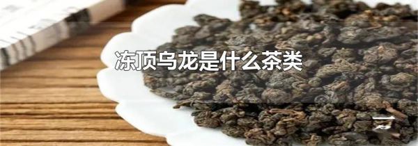 冻顶乌龙是什么茶类