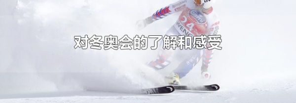 对冬奥会的了解和感受