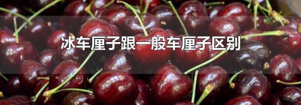 冰车厘子跟一般车厘子区别