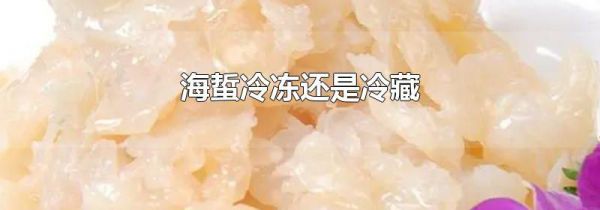 海蜇冷冻还是冷藏