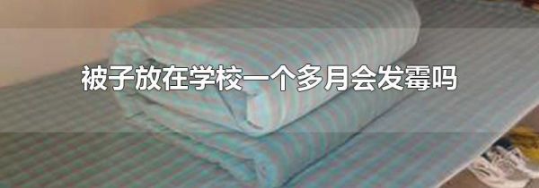 被子放在学校一个多月会发霉吗