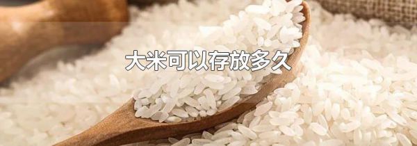 大米可以存放多久