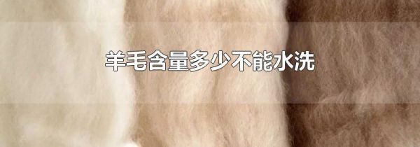 羊毛含量多少不能水洗