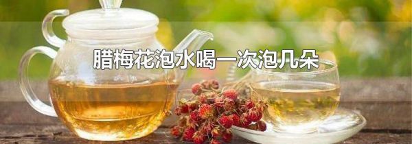 腊梅花泡水喝一次泡几朵