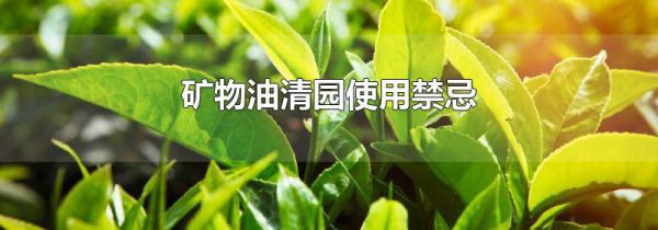 矿物油清园使用禁忌