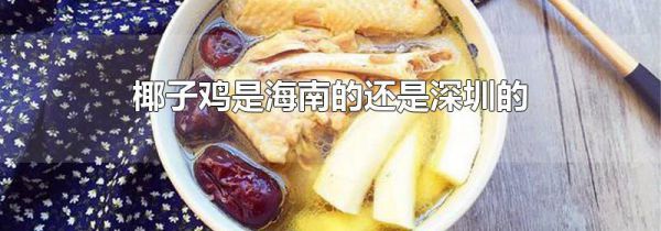 椰子鸡是海南的还是深圳的